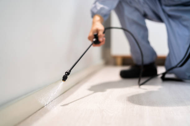Licensed Mosquito Control service in Hillsville, VA - Show Me Pest Control