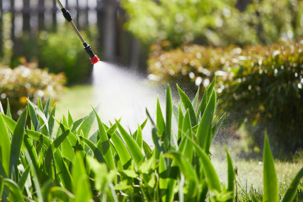 24/7 Emergency Mosquito Control experts in Hillsville, VA