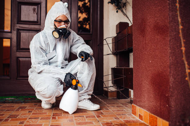 Reliable Mosquito Control contractor in Hillsville, VA by Show Me Pest Control